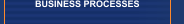 BUSINESS PROCESSES
